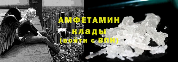 хмурый Гусь-Хрустальный